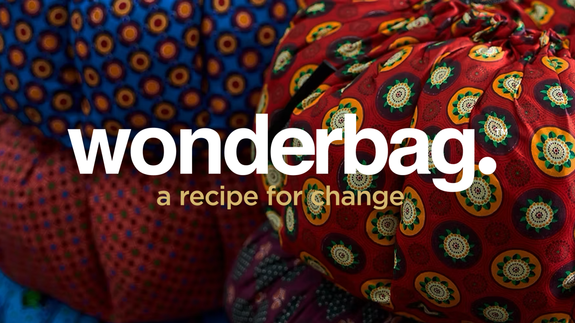 Wonderbag.